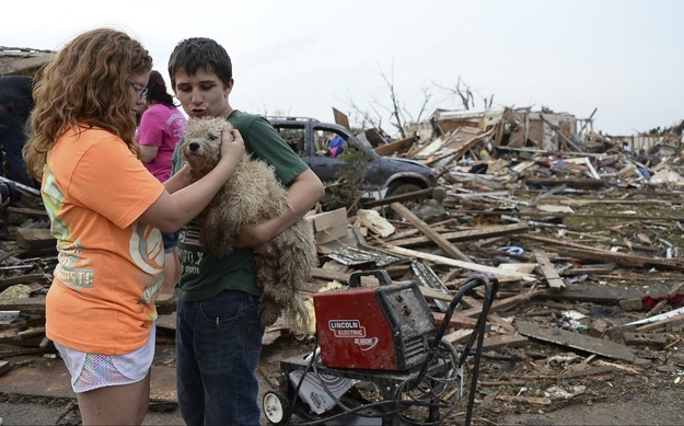 Decenas de animales han sido rescatados después del tornado de Oklahoma