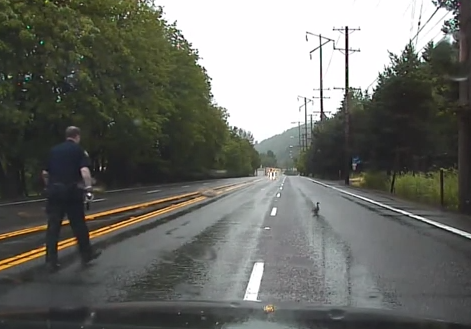 Un policía se para en mitad de la carretera durante una persecución para no atropellar a unos patitos