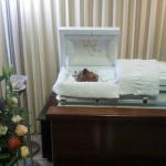 Velan a un perro en una funeraria de Puerto Rico