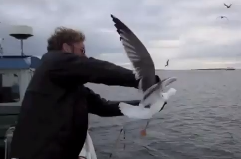 Un pescador atrapa una gaviota en pleno vuelo