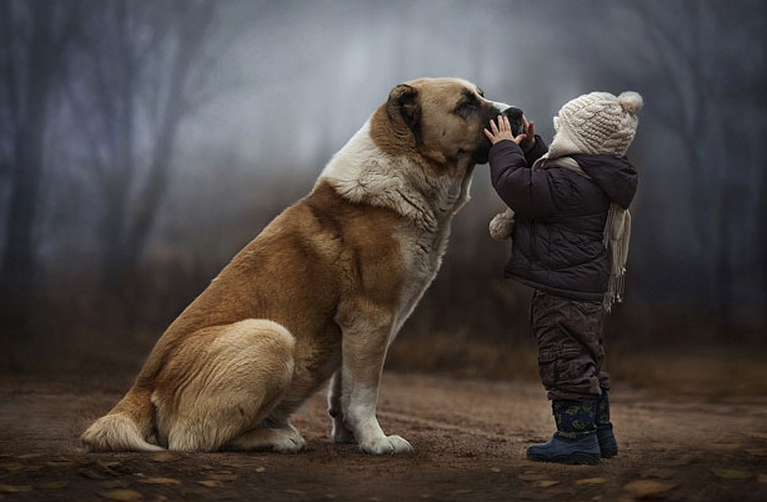 El niño que susurraba a los animales: Las fotografías íntimas de una madre capturan el vínculo especial de sus hijos con los animales