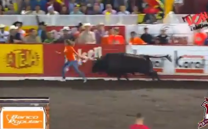 Toro haciendo volar por los aires a una mujer