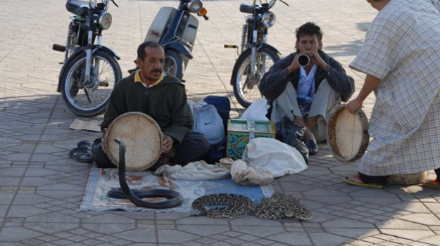 Un encantador muere mordido por su serpiente ante cientos de turistas en Marrakech