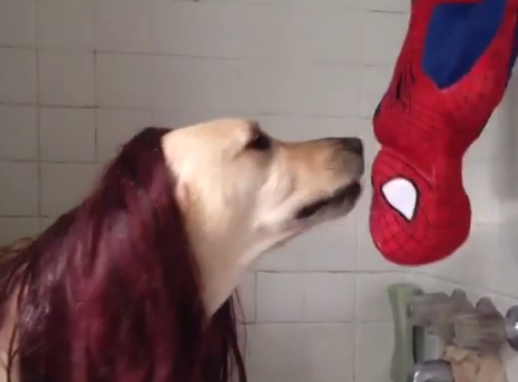 perro escena beso spiderman Archives 