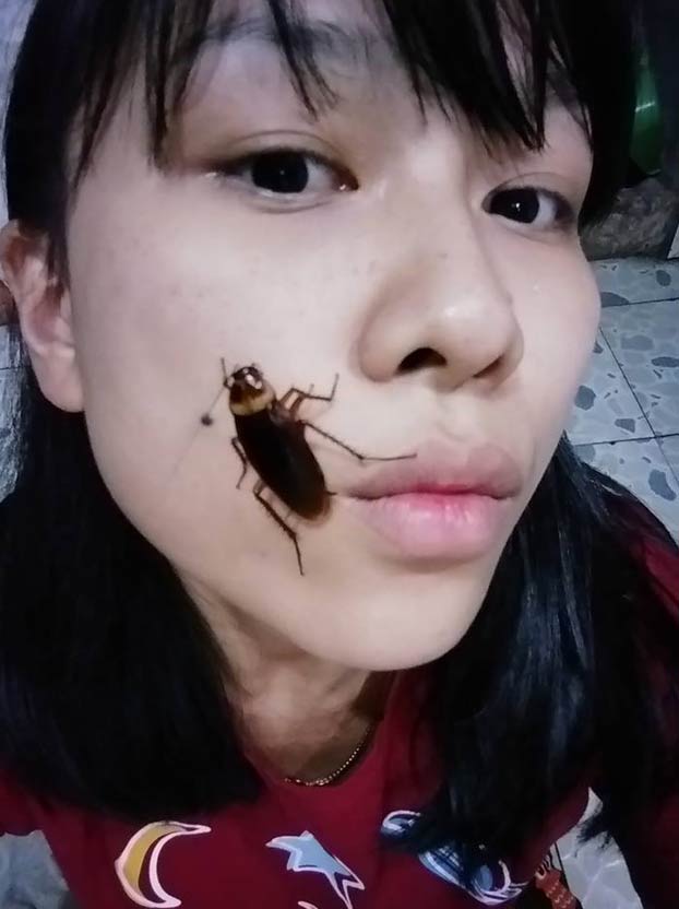 'Cockroach challenge', un nuevo reto que consiste en publicar fotos con cucarachas en la cara